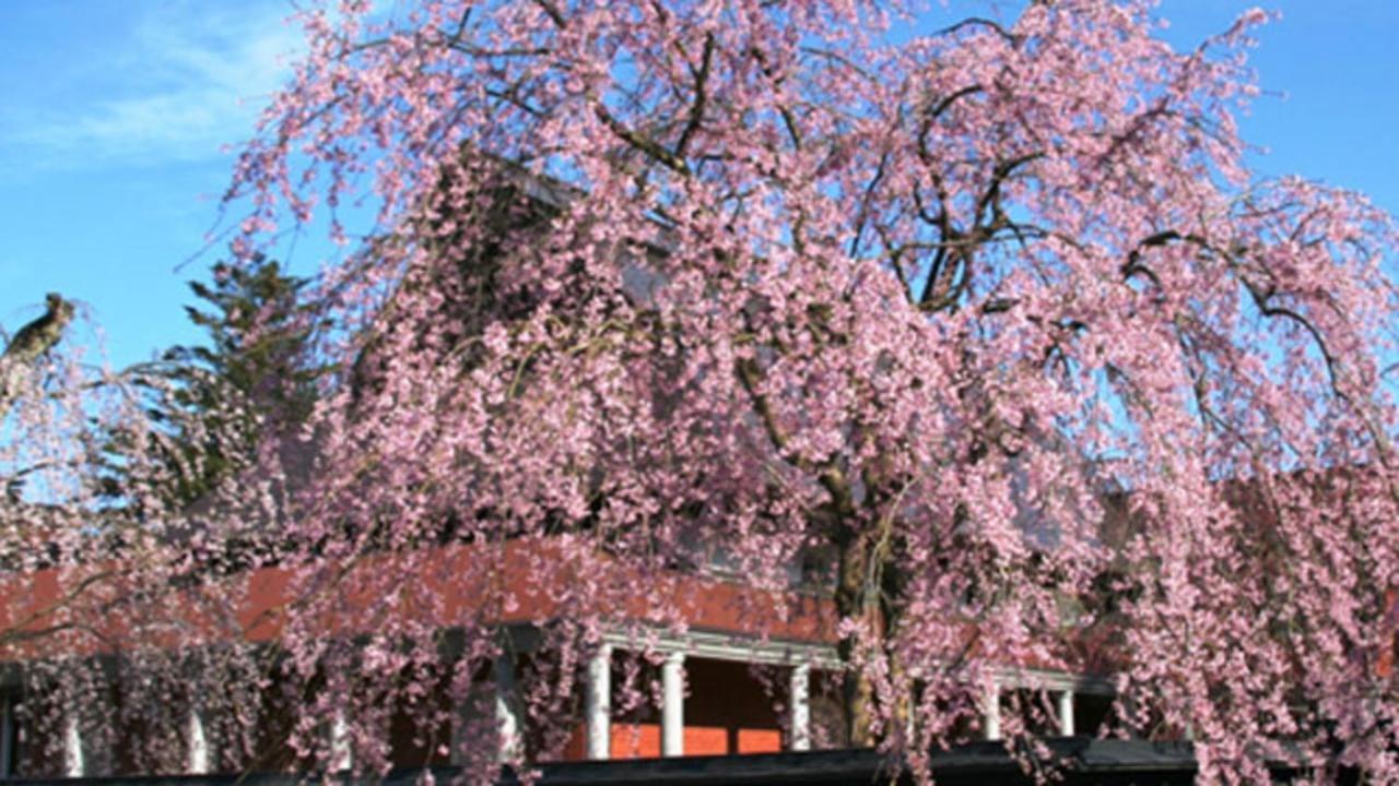 Kyukamura Nyuto-Onsenkyo Semboku Extérieur photo